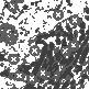 net.art
