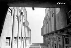 Building view