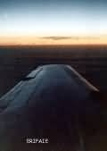 Fly 