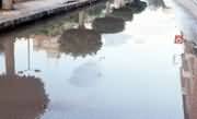 After rain