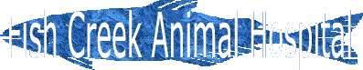 FishCreek Logo