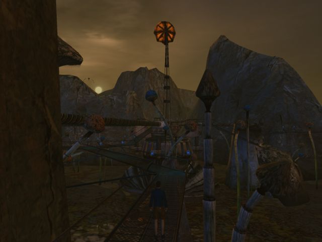 Mushrooms in Teledahn