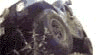 The Ultimate Jeep Website!