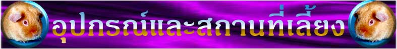 �ػ�ó����ʶҹ�������§