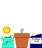 ANIMATED BLOOMING SUNFLOWER