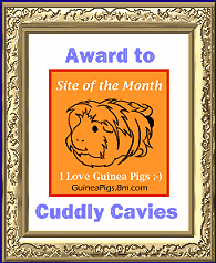 I Love Guinea Pigs :-) Site of the Month (September 1999)