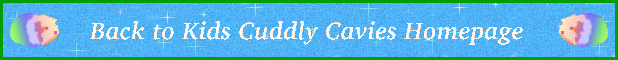 Back to Kids Cuddly Cavies Homepage