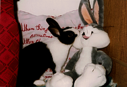 Chocolate Dutch and Bugs Bunny