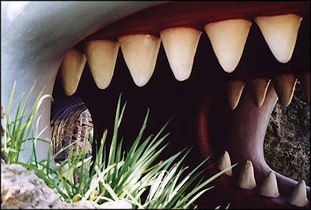click on thumbnail for full-sized image