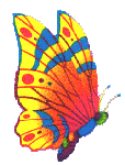 bfly3