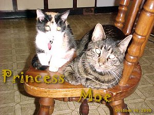 Moe and Princess