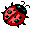Ladybug
