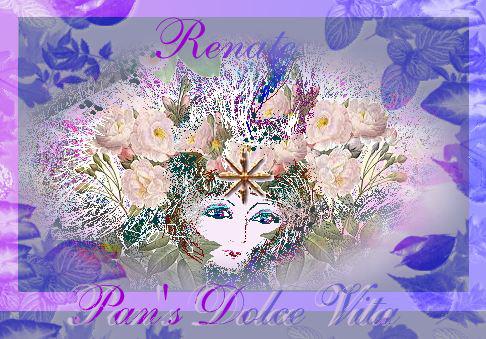 Pam's Dolce Vita's Award