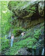 shelby at waterfall