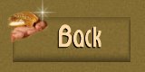 Back Button
