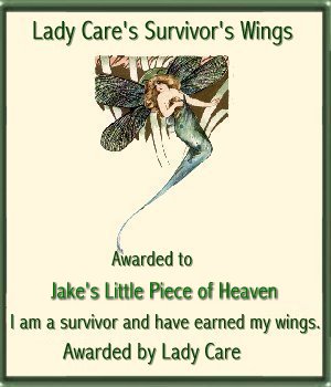 Lady Care's Award