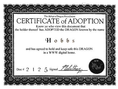 adopt yours today