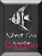 The Silver Fish Award