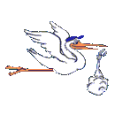 stork