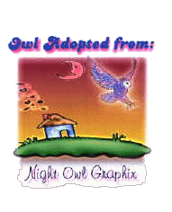 Adopt an Owl from Night Owl Graphix