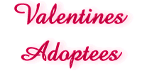 adopt