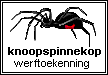 Knoopspinnekop werftoekenning
