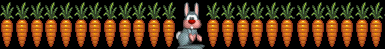 BUNNY AND CARROT BAR