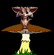 MUSHROOM NORN