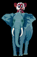 NORN RIDING ELEPHANT