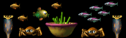 UNDERWATER SCENE