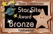 bronze award