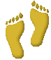 My Feet