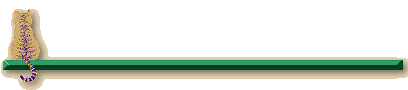 ylwctln