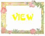 View Guestbook