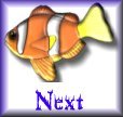 Next