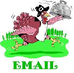 E-Mail