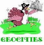 Geo
