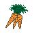 burp's carrots
