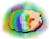 Guinea Pigs