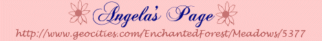 My Banner