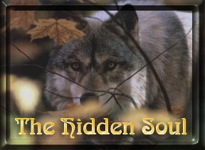 The Hidden Soul