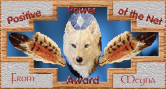 Positive Power On The Net Award Award