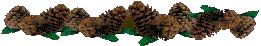 pinecones