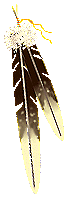 Feathers