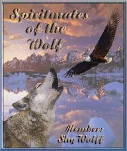 SpiritMate Shield