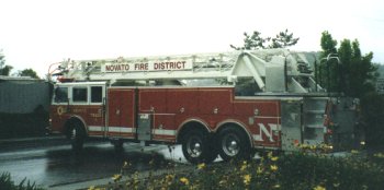 Look what showed up!