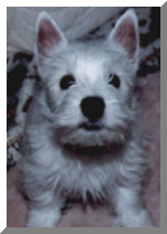 My passport photo!