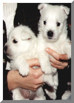 Me and Reilly