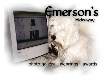 Emerson's Photo Gallery