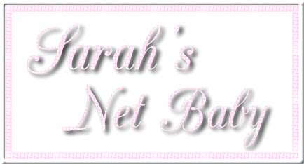 Sarah's Net Baby